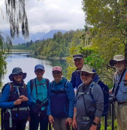 Guided hike to Lake Matheson