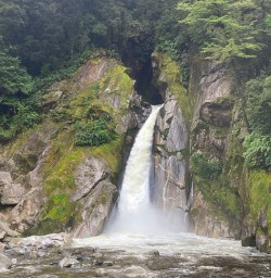 Guided hiking tours new zealand