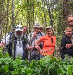 Guided Tour at Martins Bay, Fiordland National Park Southland New Zealand
