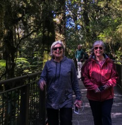 Happy guest at The Chasm Viewing bridge, Cleddau river, Fiordland New Zealand