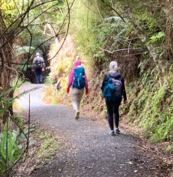 Hike in stewart island