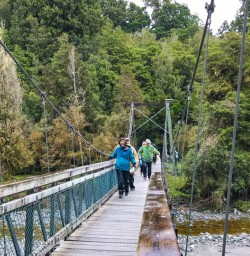 Hike to Lake Matheson