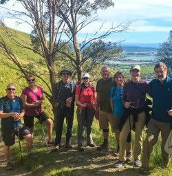 Hiking bridle path to Lyttleton