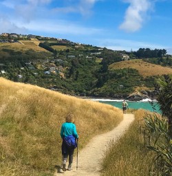 Hiking Godley Head Christchurch