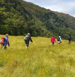 Hiking through meadows in siberia valley