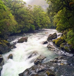 The Cleddau River on the Chasm Track
