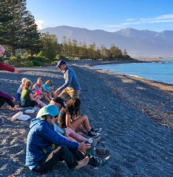 Kaikoura beach