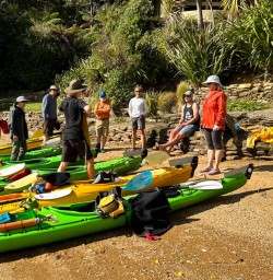 Kayaking queen charlotte sound