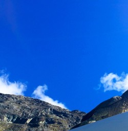 The Kea - not only the world's largest alpine parrot but also the cheekiest