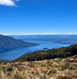 Kepler Track hiking