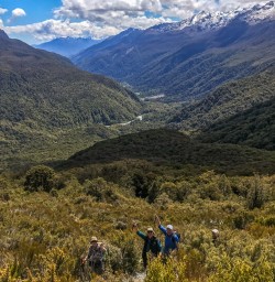 Key Summit Valley, Fiordland New Zealand