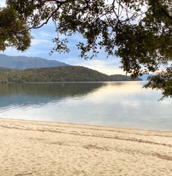 Lake manapouri new zealand south island