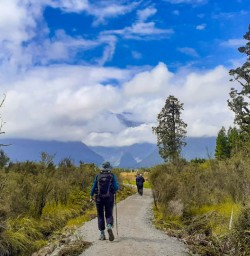 Lake Matheson hike