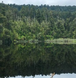 Lake Matheson reflection