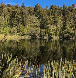 Lake Matheson, West Coast New Zealand