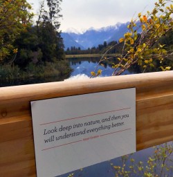  Lake Matheson