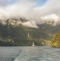 Milford Sound, Fiordland New Zealand