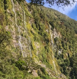 Falls at Milford Track, Fiordland National Park Southland New Zealand