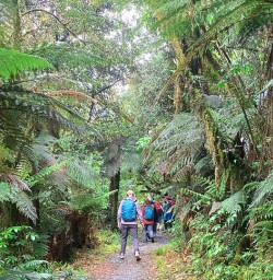 Milford track small group tour2