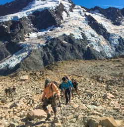 Mueller Hut hike