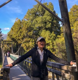 Passing bridge at Fox Glacier, West Coast New Zealand