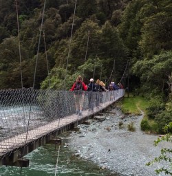 Passing Monkey Creek, Fiordland National Park Southland New Zealand