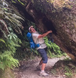 Removing tree at Key Summit Trail, Fiordland New Zealand
