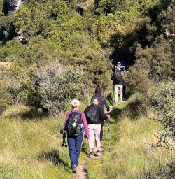 Rocky Mountain New Zeland hiking tour