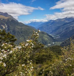 Routeburn track valley, Fiordland New Zealand