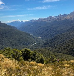 Routeburn track valley, Fiordland New Zealand