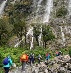 Small group tours 