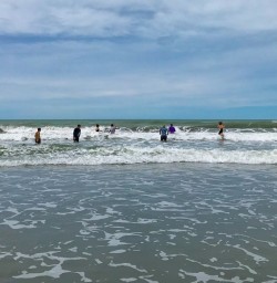Swimming in Kaikoura