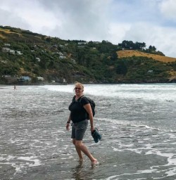Taylors Mistake beach