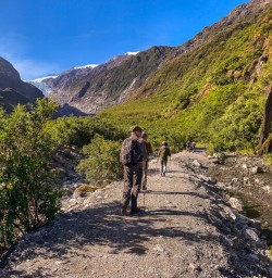 Walking at Fox Glacier Valley Track, West Coast New Zealand