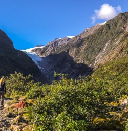 Fox Glacier Valley Track, West Coast New Zealand