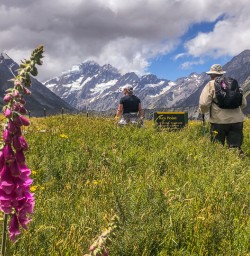 Walking the Kea Point, Aoraki Mount Cook New Zealand