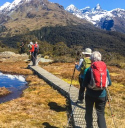Walking the Key Summit Lookout Trail, Fiordland New Zealand