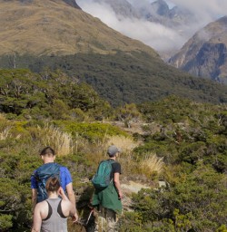 Walking the Key Summit Lookout Trail, Otago New Zealand