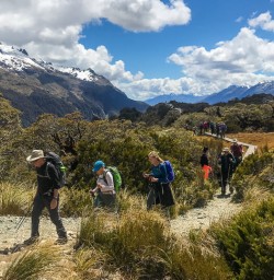 Walking the Key Summit Lookout Trail Lake, Fiordland New Zealand