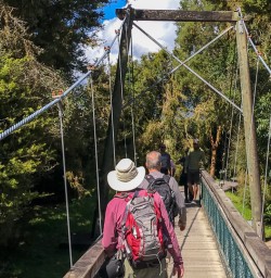 Walking at Lake Matheson, West Coast New Zealand