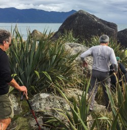 Walking the Martins Bay, Fiordland National Park Southland New Zealand