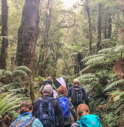 Walking the Milford Track, Fiordland National Park New Zealand
