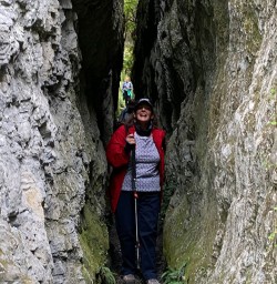 Mt Crichton loop track