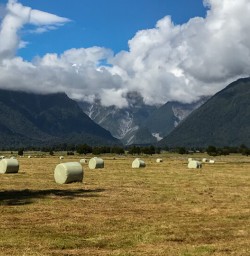 West Coast fields in New Zealand