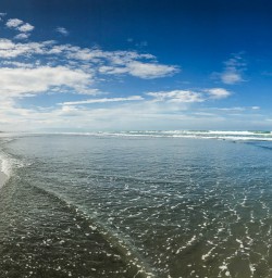 White sand beaches along the Canterbury coast