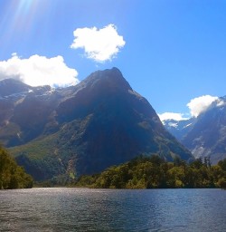 View on Milford Sound