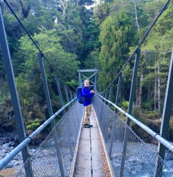4. Solo guest crossing bridge on the Hollyford Track
