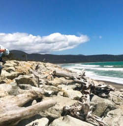 4. West Coast seaside