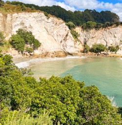 Coromandel cliffs