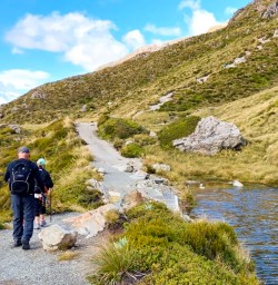 4. Guests on Sealy Tarns Track